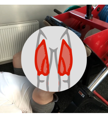 Leg press