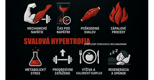 Svalová hypertrofia - komplexný sprievodca mechanizmami
